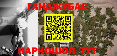mdpv Ярославль