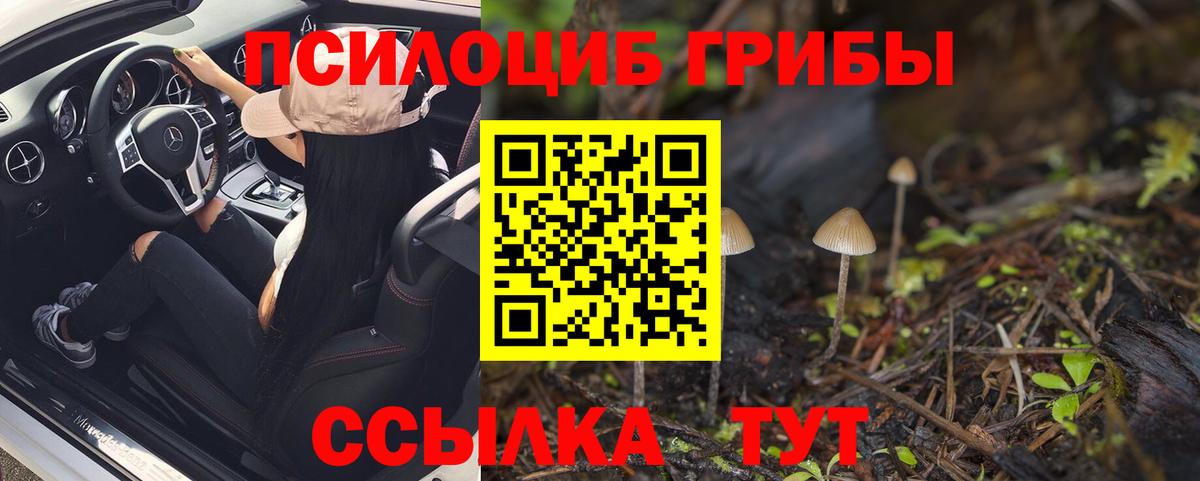 Смоленск  Псилоцибиновые грибы Cubensis  как найти закладки  Вход с VPN 